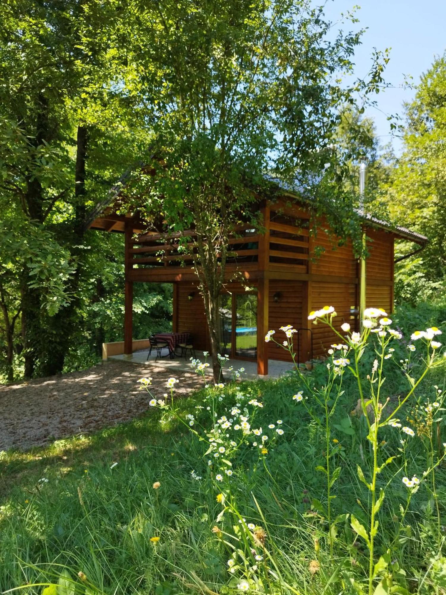 Kuca U Sumi - Forest House Near National Park Una - Air Spa Lohovo Бихач Экстерьер фото